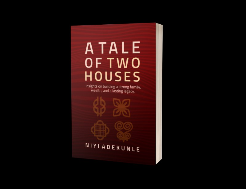 A Tale Of Two Houses by Niyi Adekunle