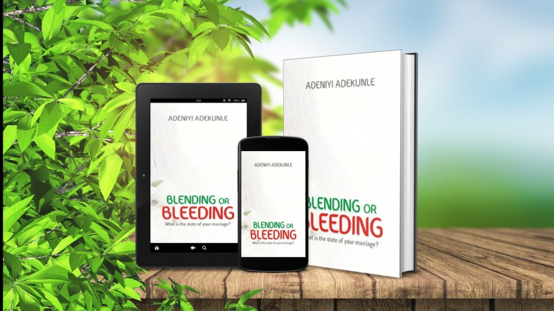 Blending or Bleeding by Niyi Adekunle